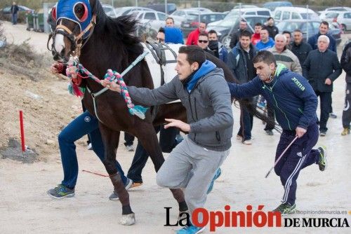 Inauguración cuesta de entrenamiento de los Caballos del Vino