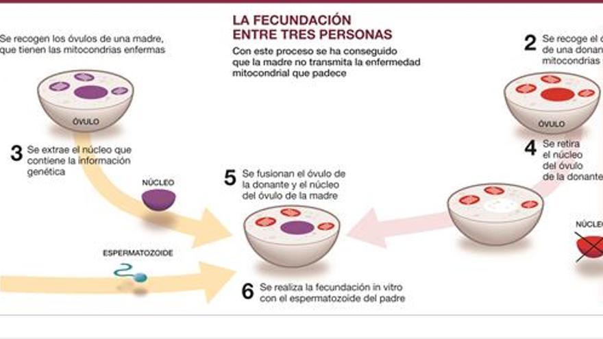 Nace el  primer hijo genético de tres padres