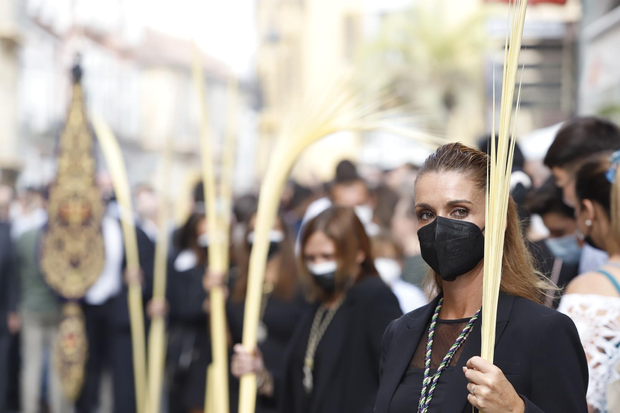 Procesión Magna de Málaga | Pollinica