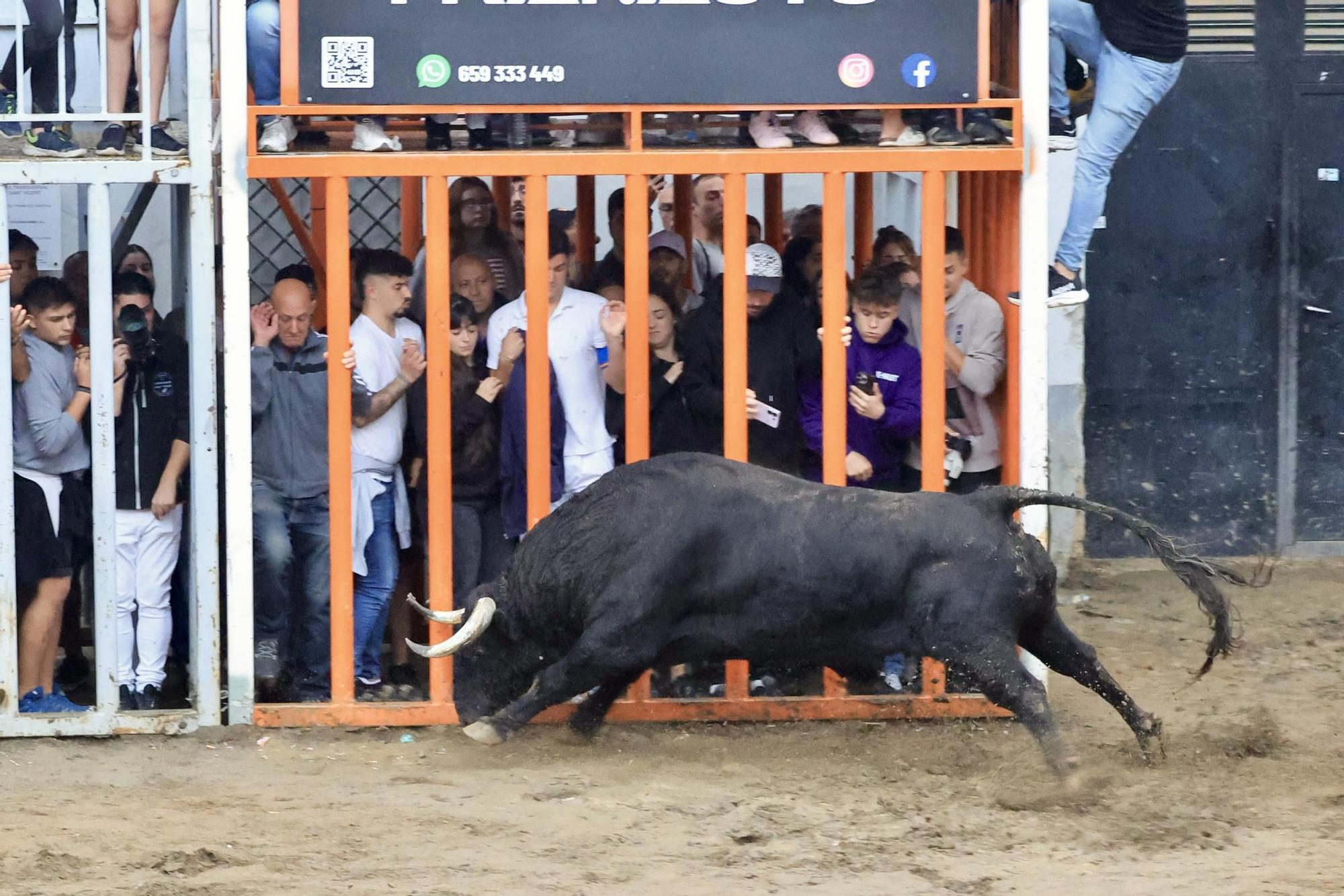 Galería de fotos de la penúltima tarde de toros de las fiestas del Roser en Almassora