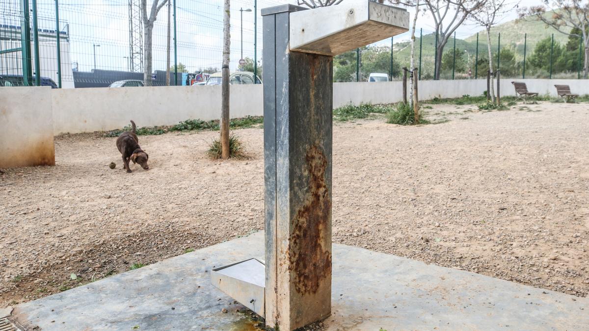 Óxido en la fuente para dar de beber a los perros. 