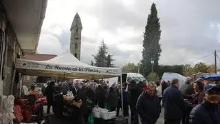 San Martino acompaña el mercado de Mombuey, la última cita "comercial" del año en Sanabria y Carballeda