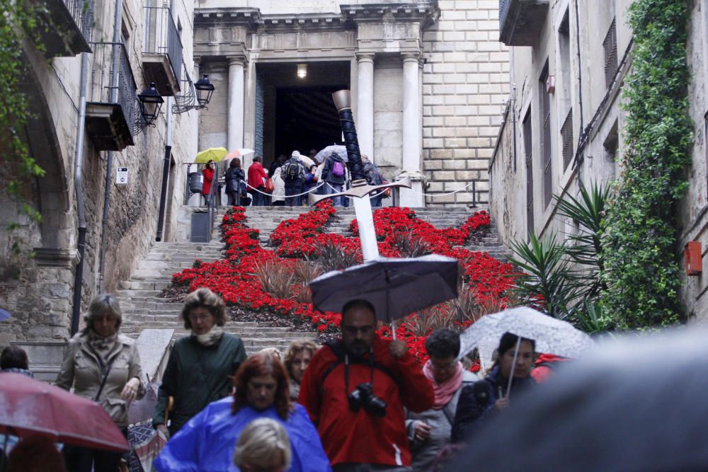 Primer diumenge de Temps de Flors