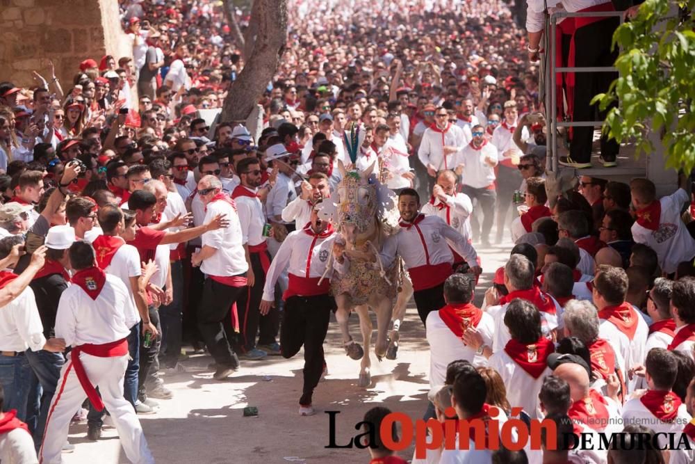 Carrera de los Caballos del Vino