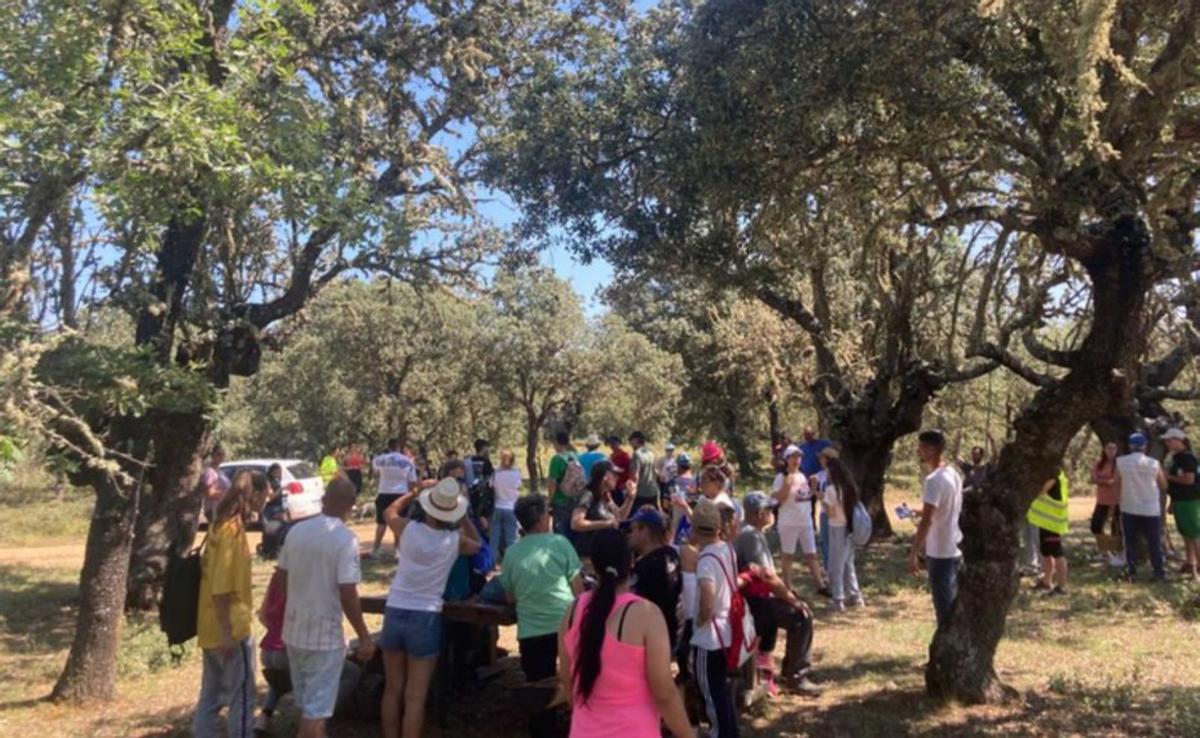 Convivencia para la formación