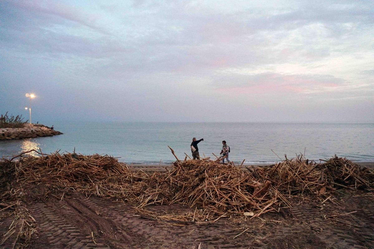 Los operarios se centran ahora en la playa de Guadalmar, donde la cantidad de cañas es ingente