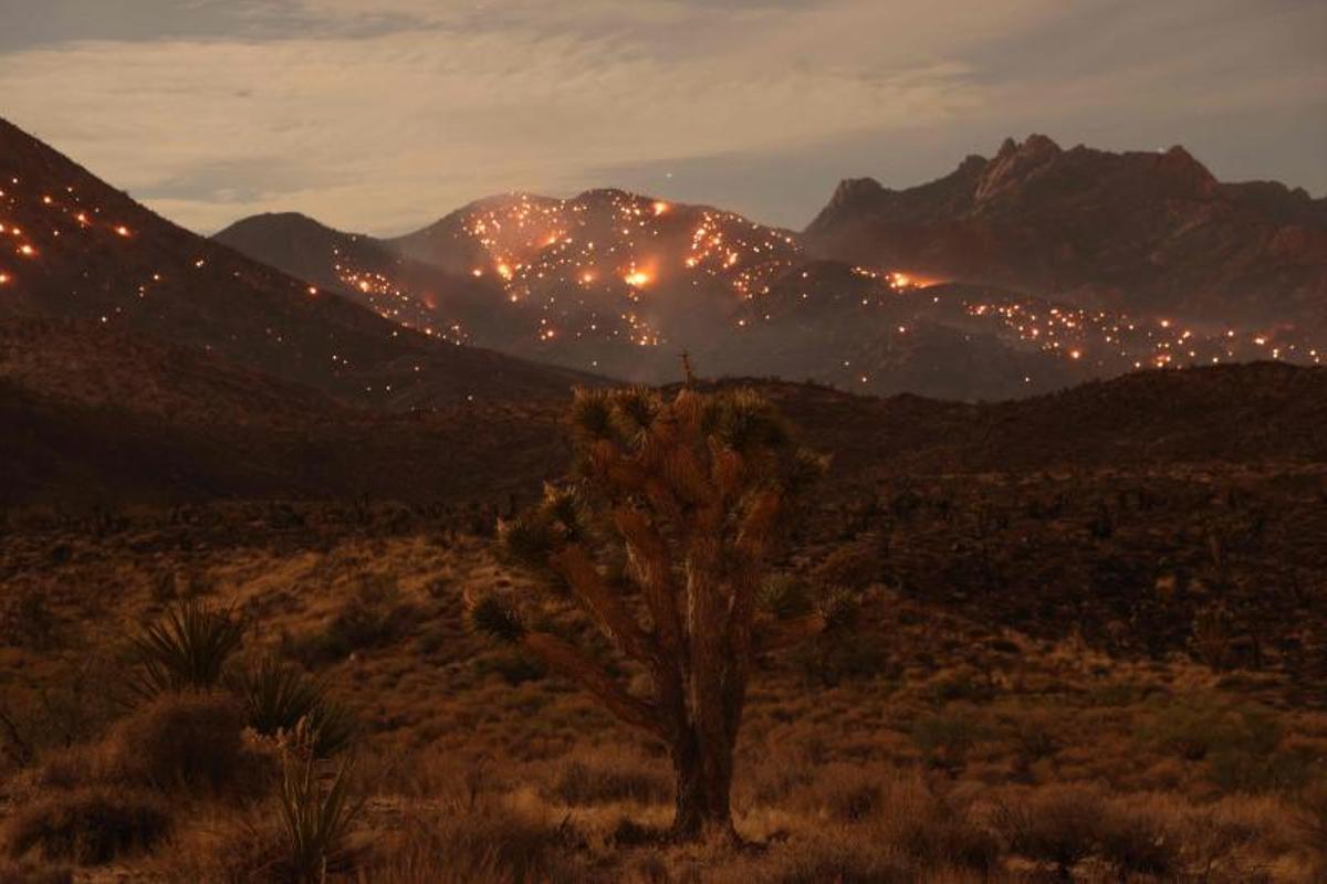 Arde la Reserva Nacional de Mojave entre California a Nevada