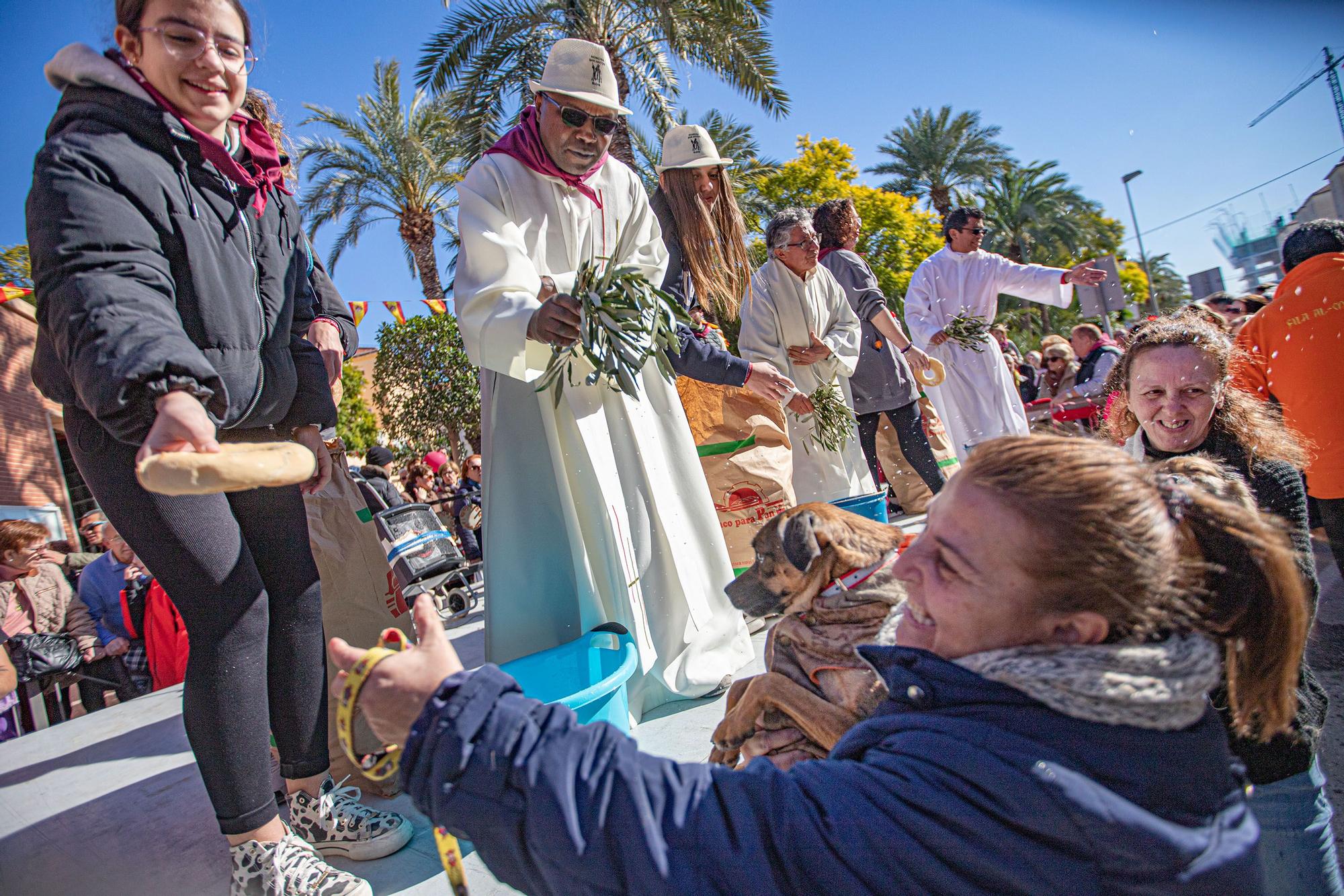 Romería y Bendición de animales en San Antón de Elche