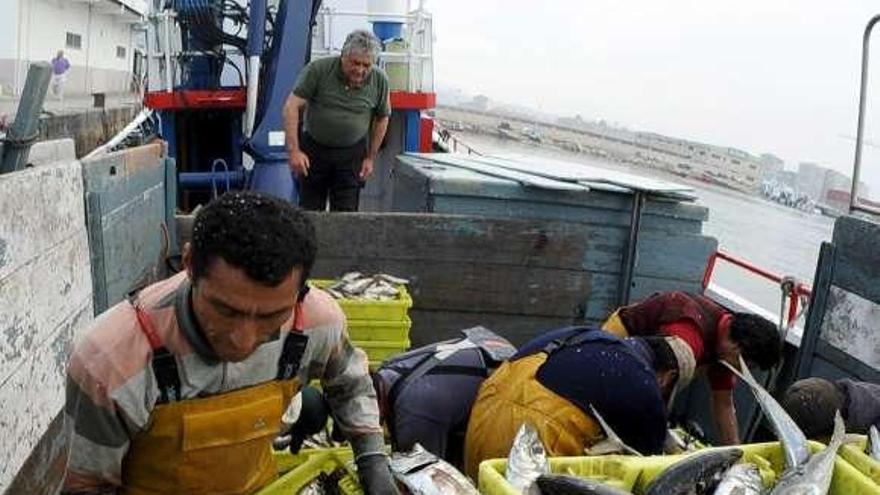 Un barco de cerco descarga en Cambados. // Iñaki Abella