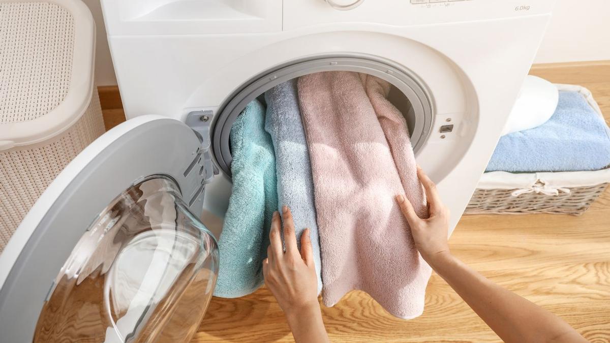 Dile adiós a los pelos de tu mascota de la ropa con este truco profesional  para aplicar en la lavadora
