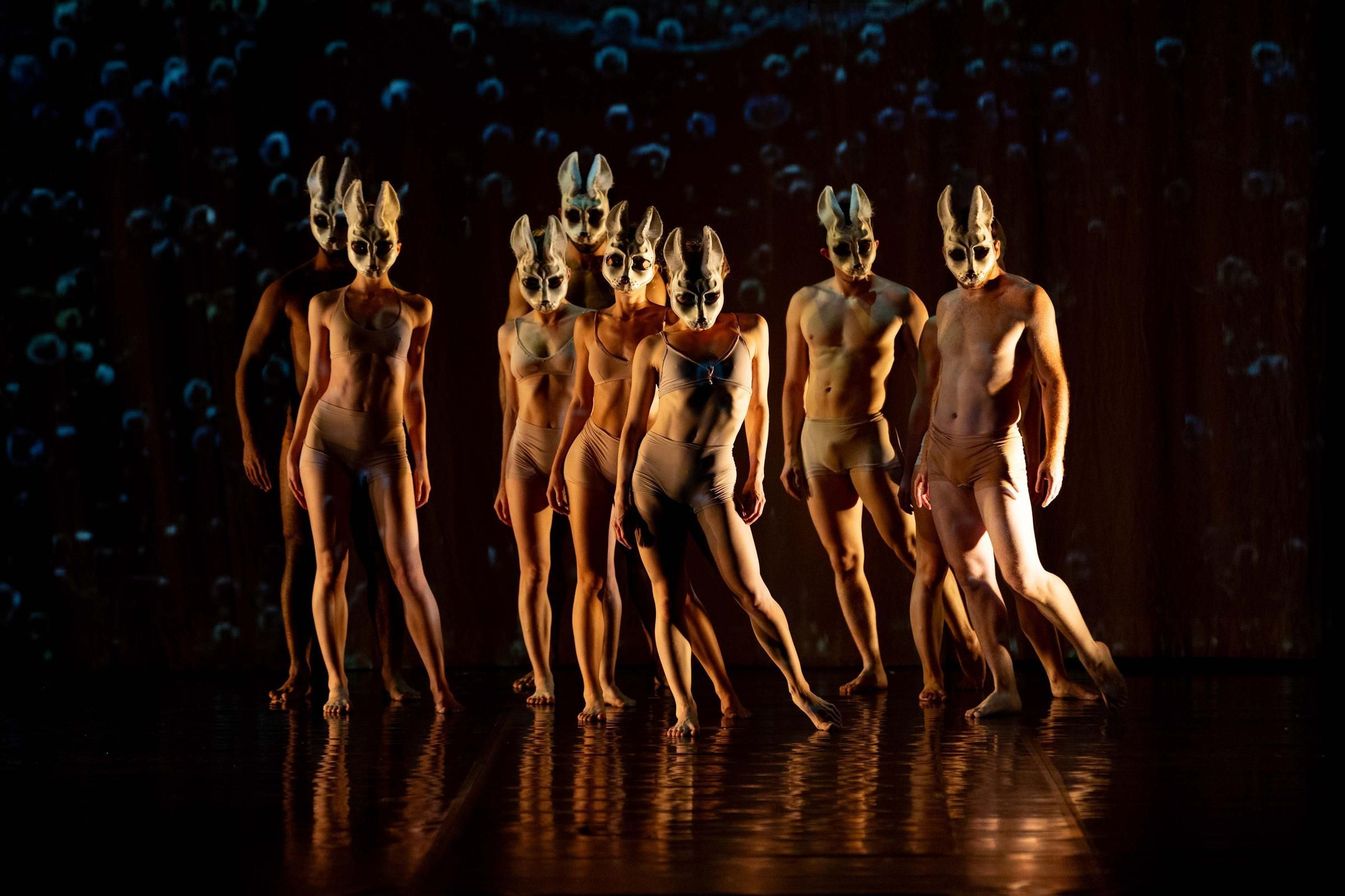 Momix presenta en A Coruña su nuevo espectáculo 'Alice'
