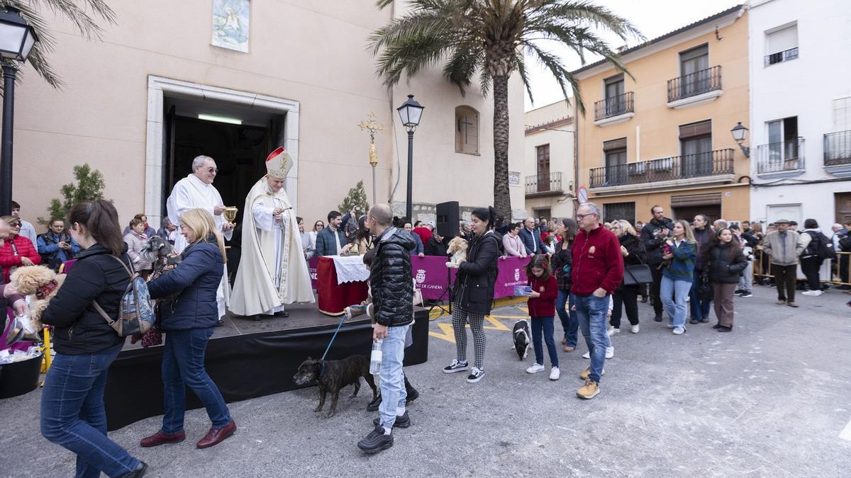 Bendición de animales en Beniopa, en el Porrat de 2024