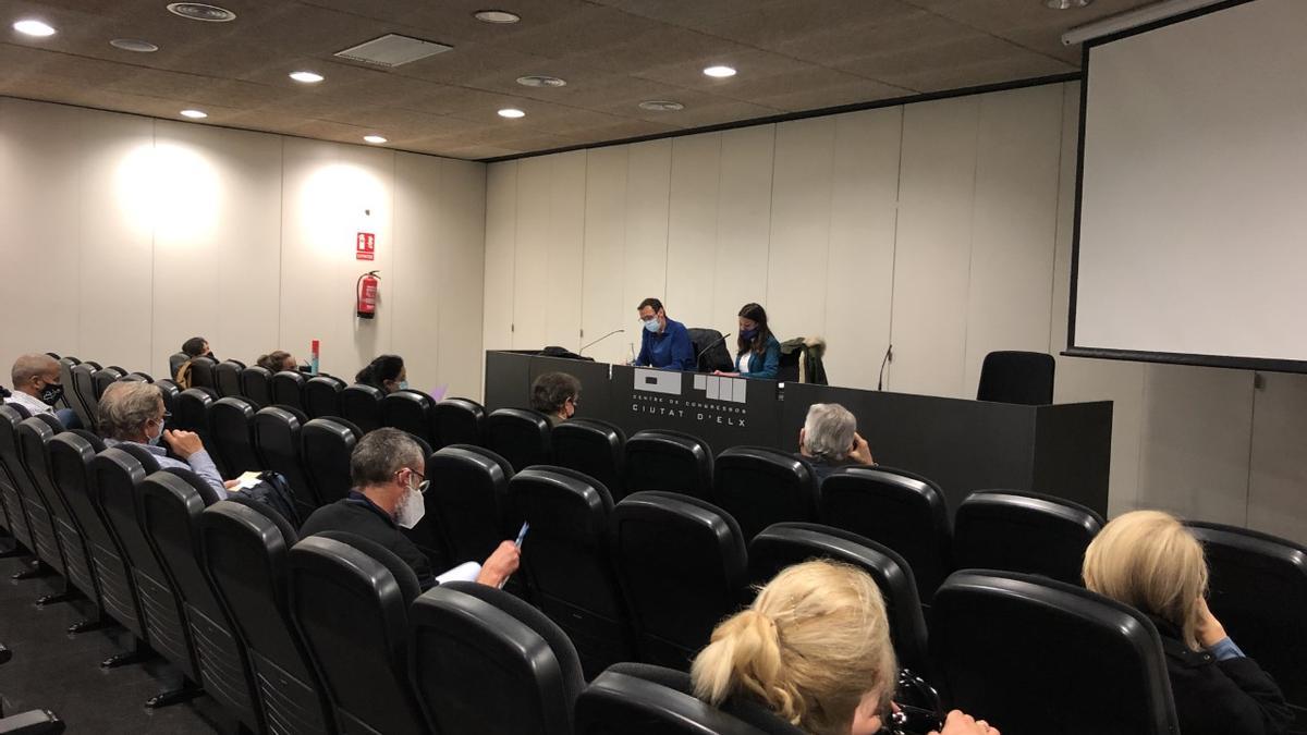 Un momento de la reunión del Consejo de Cooperación al Desarrollo en Elche