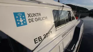 Multado con casi 2.500 euros el patrón mayor de Portonovo por llevar 115 kilos de pulpo de más en su barco