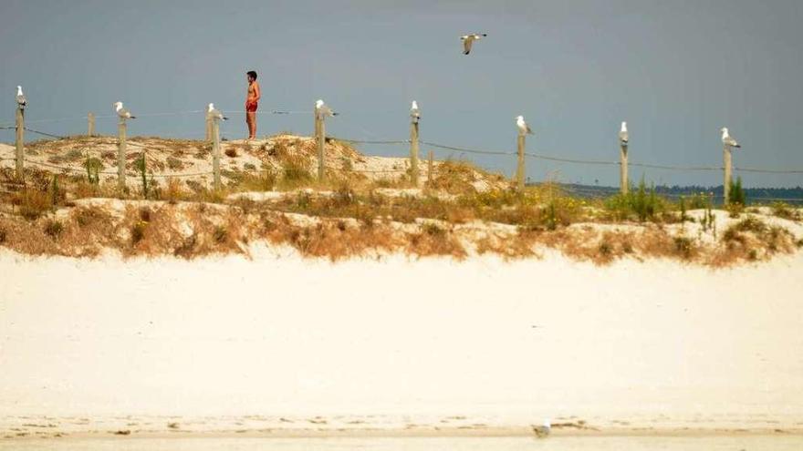 El espacio dunar de Areoso ha experimentado un importante retroceso en los últimos años. // Noé Parga