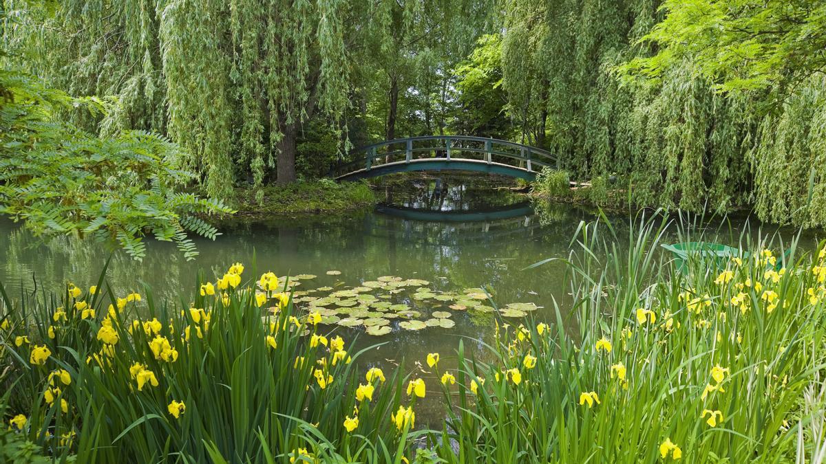 Impresionismo en estado puro: reabren los jardines que inspiraron a Monet