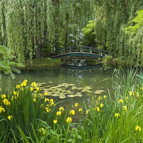 Impresionismo en estado puro: reabren los jardines que inspiraron a Monet