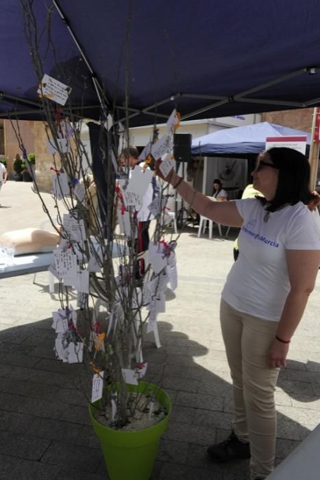 Las enfermeras celebran su día en Murcia