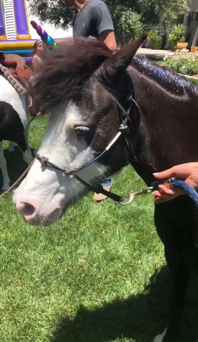 El unicornio de mentirijilla