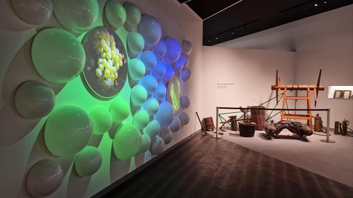 Nuevo Cariñena Wine Museum de la D.O. Cariñena.