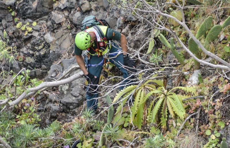 23/05/2018 BUEN LUGAR, FIRGAS. Especialistas en escaladas de la Guardia Civil se han trasladado desde Tenerife para la busqueda de los restos oseos en el cauce del barranco de Buen Lugar. FOTO: J. PÉREZ CURBELO  | 23/05/2018 | Fotógrafo: José Pérez Curbelo