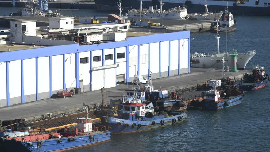 Diez empresas optan a ejecutar tres nuevas obras en el Puerto de Las Palmas