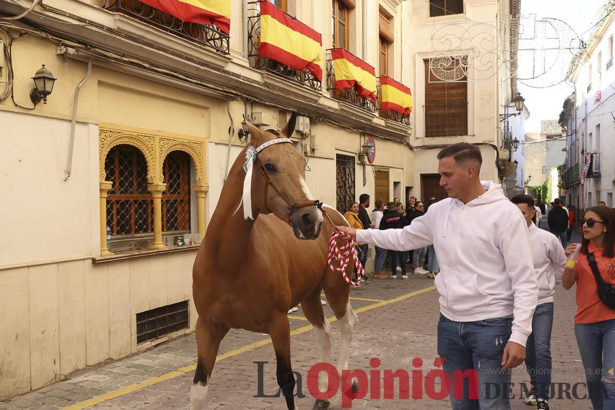 Concurso de caballo a pelo: pasacalles hasta el Hoyo en Caravaca