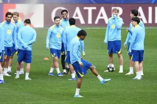 Polémica con el césped del Metropolitano: ¿qué dice la normativa de la Champions?