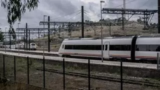 «Sin el tren Extremadura no puede despegar», dicen los empresarios