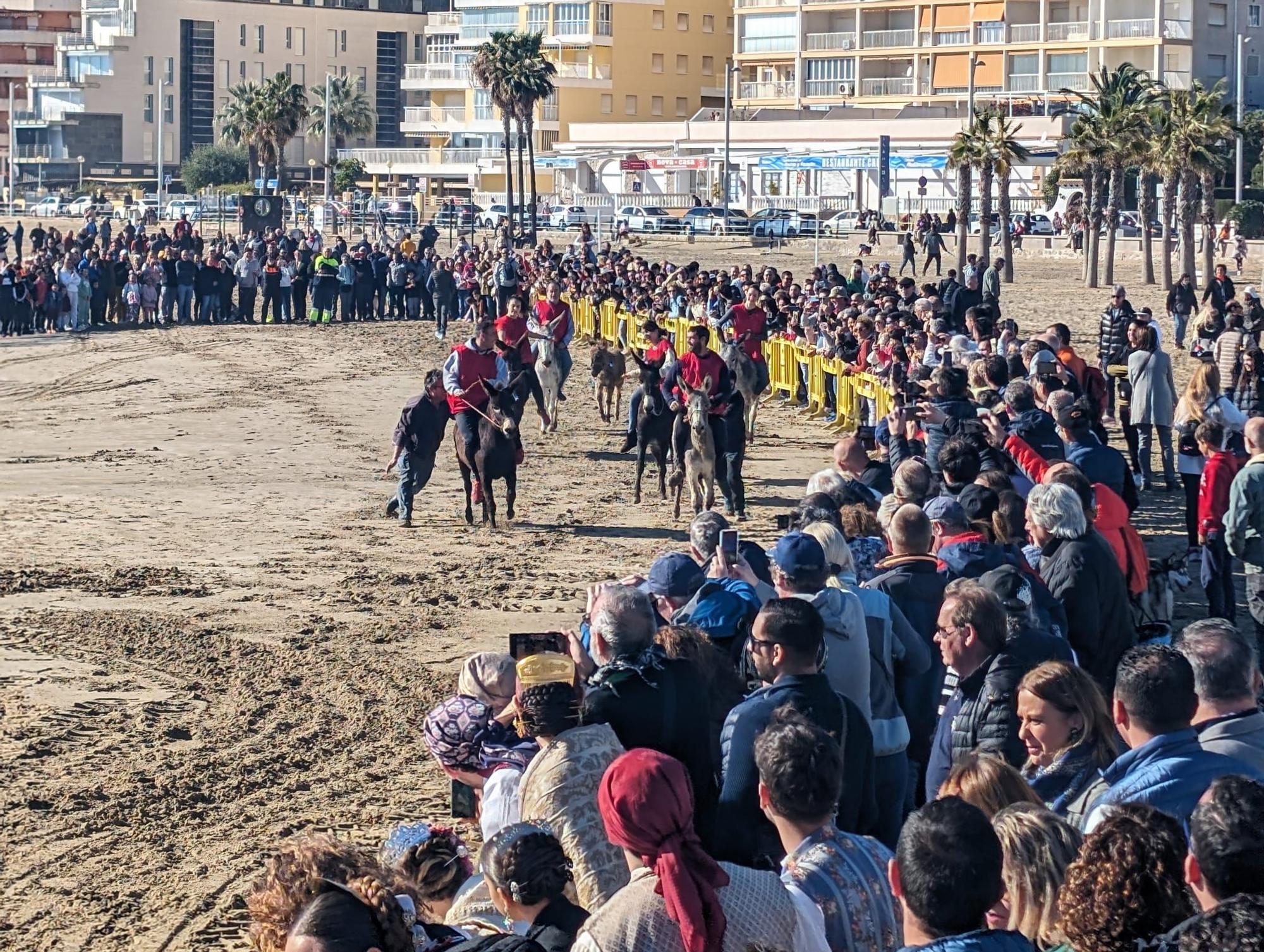 Las espectaculares imágenes de la carrera de caballos y burros en Orpesa