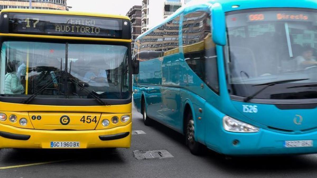 Vehículos de Guaguas Municipales y Global en el Parque San Telmo.