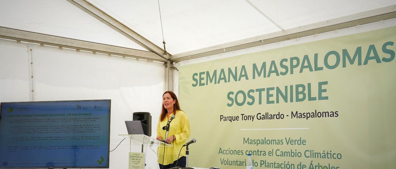 Pilar Navarro, jefa de sección del Departamento de Energías Renovables del Instituto Tecnológico de Canarias.