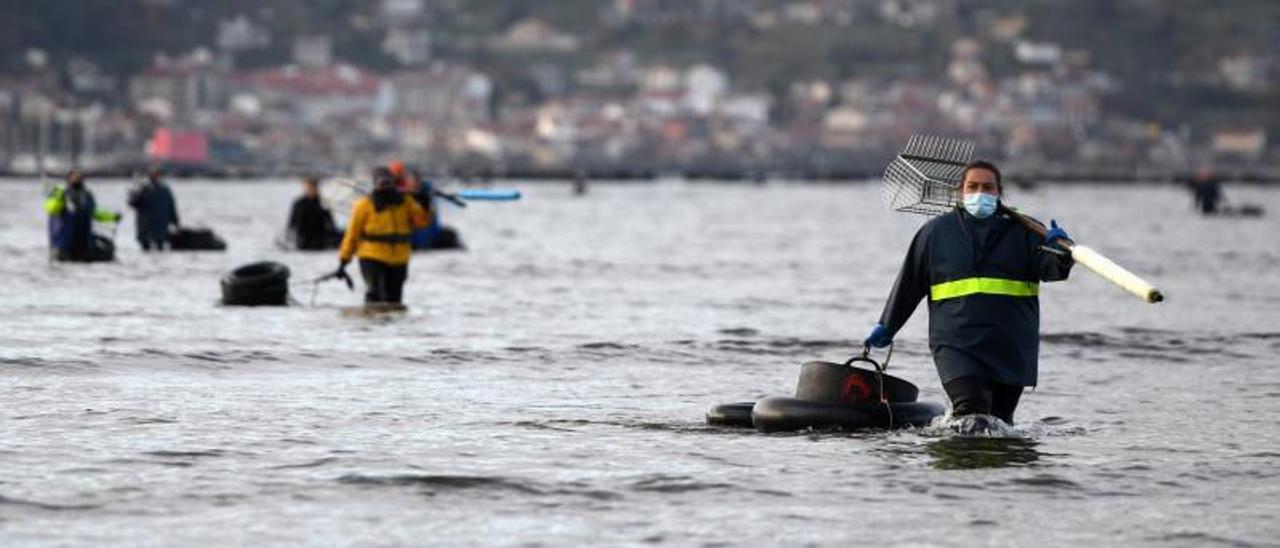 Mariscadoras trabajando en la ría de Pontevedra. |   // GUSTAVO SANTOS