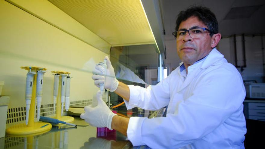 El investigador José Poveda en su laboratorio en el Instituto de Sanidad Animal y Seguridad Alimentaria (IUSA) de la Universidad de Las Palmas.