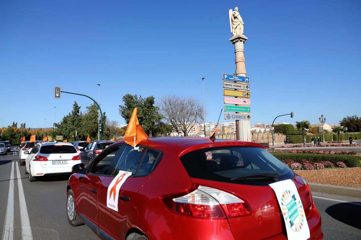 Caravana contra la 'ley Celaá'