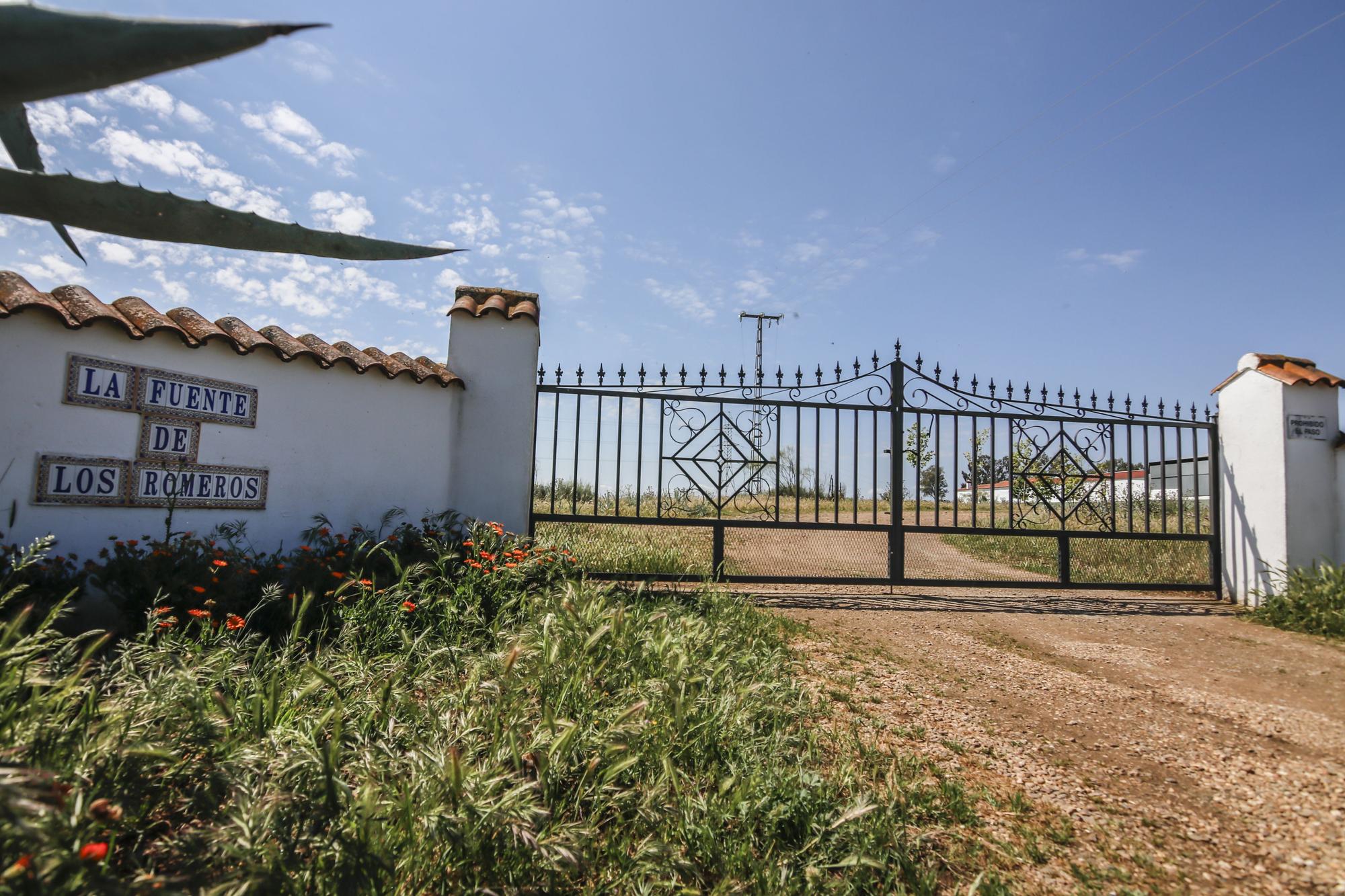 La ganadería merina Fuente de los Romeros.