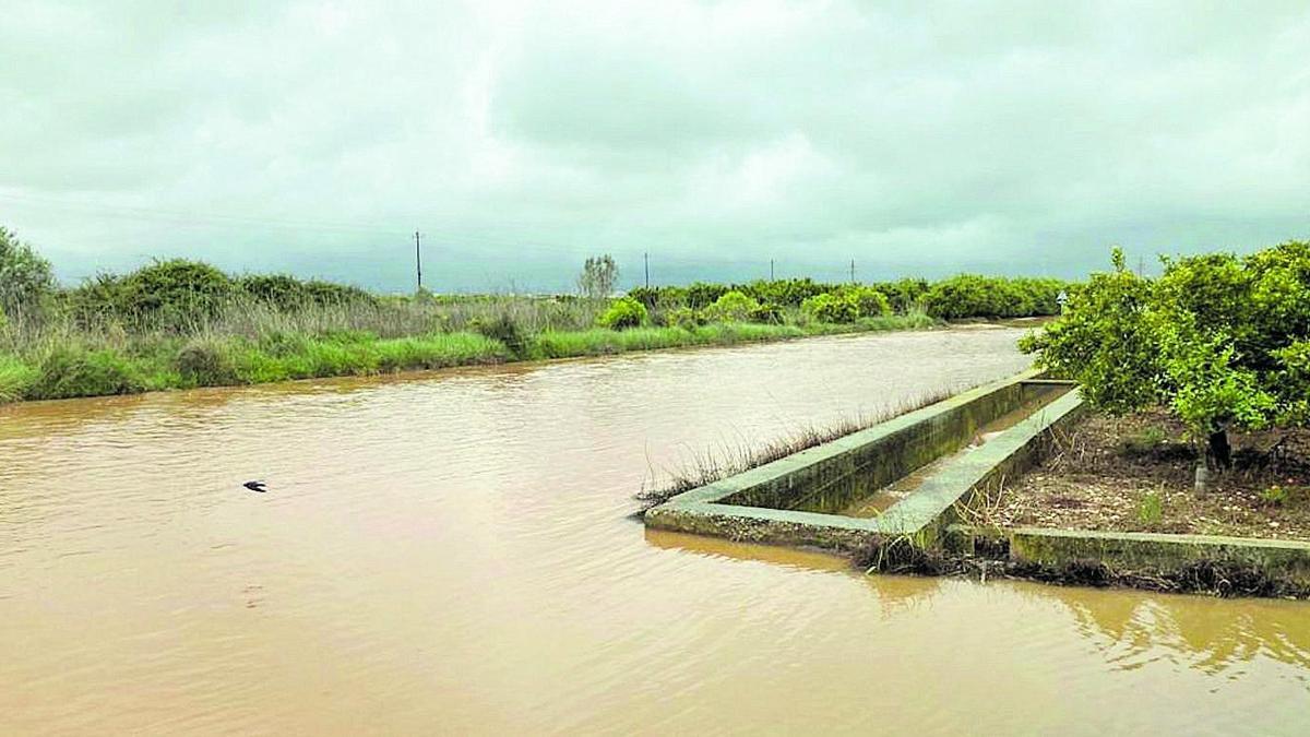 El agua cayó con fuerza durante la mañana de ayer en Burriana y provocó inundaciones en huertos de la zona