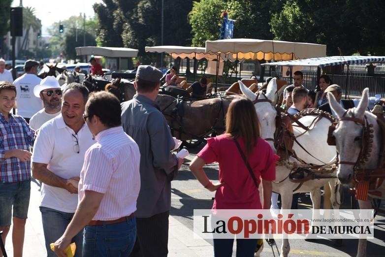 Ruta a caballo desde la ciudad al corazón de la hu