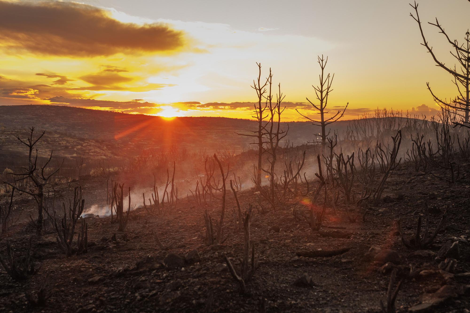 La lluvia reduce la llama del incendio de Bejís hasta casi desaparecer