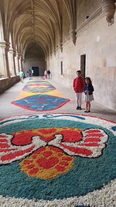 En Celanova, los vecinos de la calle Colón y las familias de los niños que hicieron este año la Primera Comunión decidieron este año elaborar las tradicionales ofrendas florales.