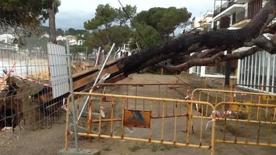 El temporal de vent causa destrosses a l&#039;Empordà