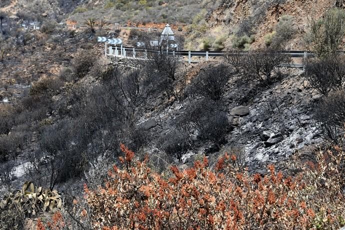 18/03/2019 FATAGA. SAN BARTOLOME DE TIRAJANA.  Incendio en Fataga, en la Finca Rural, Molino de Agua. Fotografa: YAIZA SOCORRO.  | 18/03/2019 | Fotógrafo: Yaiza Socorro