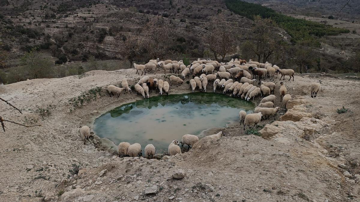 Las balsas, oasis en medio del desierto