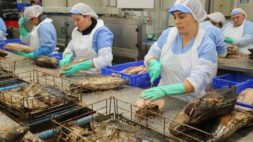 Procesado de atún en las instalaciones de Atunlo (Frigoríficos del Grove-Frigrove). // Muñiz