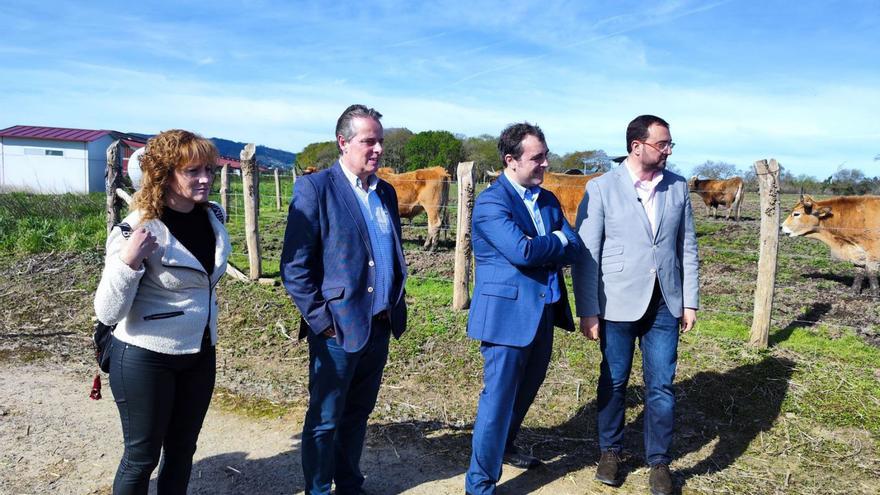 La teniente de alcalde de Villaviciosa, Lorena Villar; el consejero de Medio Rural, Marcelino Marcos; el presidente de Alimerka, Alejandro Fernández, y Adrián Barbón, ayer, en las instalaciones maliayesas. | A. G.-O.