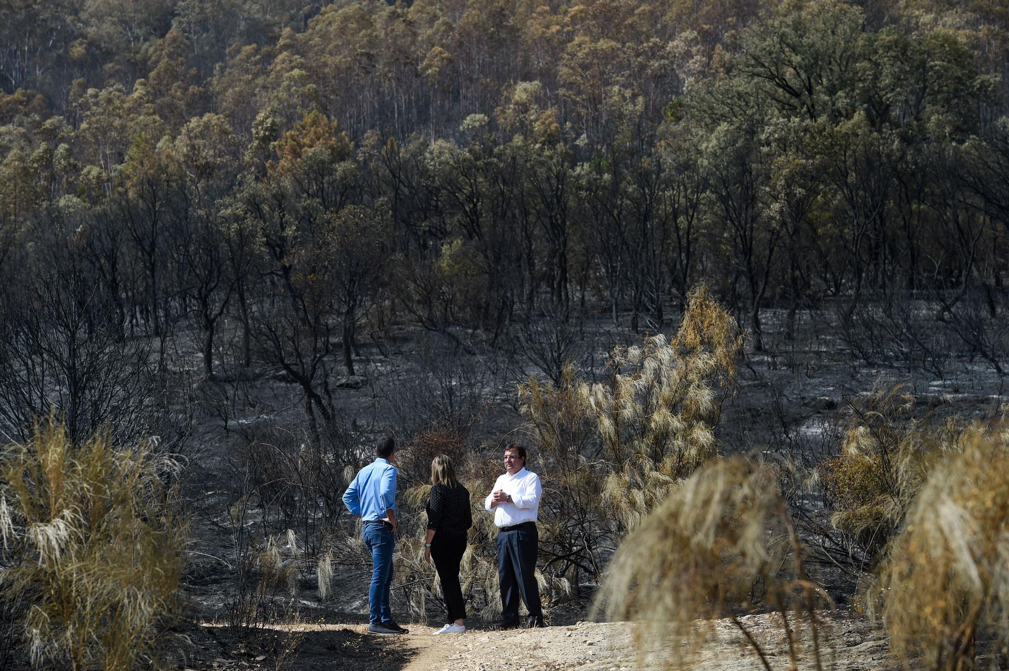 Sánchez visitó este lunes las zonas quemadas de Extremadura.