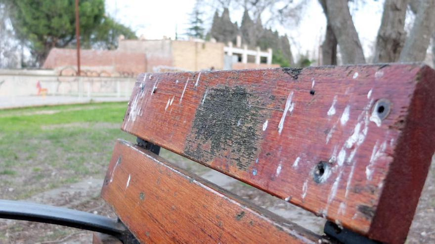 Uns 15.000 estornells fugen dels trets i tornen al centre de Figueres