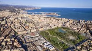 Málaga podría tener el bosque urbano más grande de la Europa mediterránea: este es el proyecto vecinal