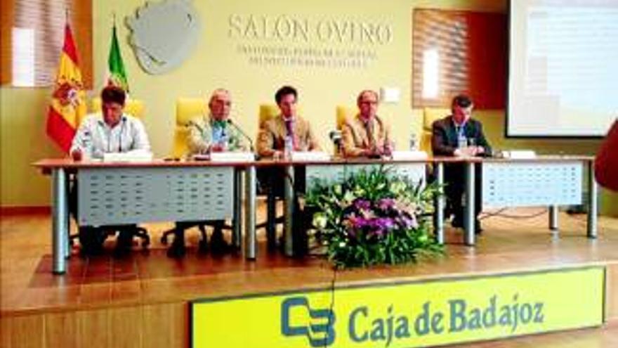 Agricultura busca ayudas de la UE para las asociaciones del ovino