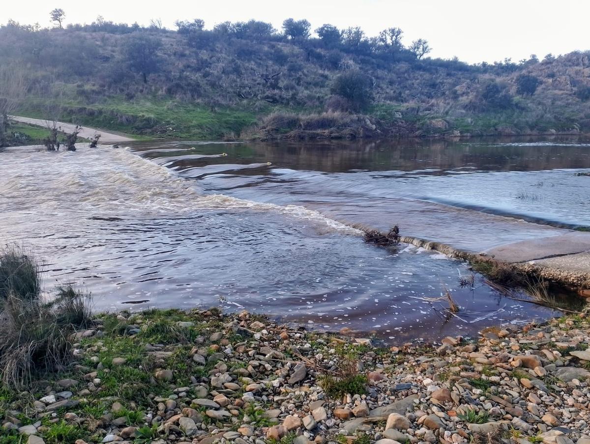 Crecida del río Salor.